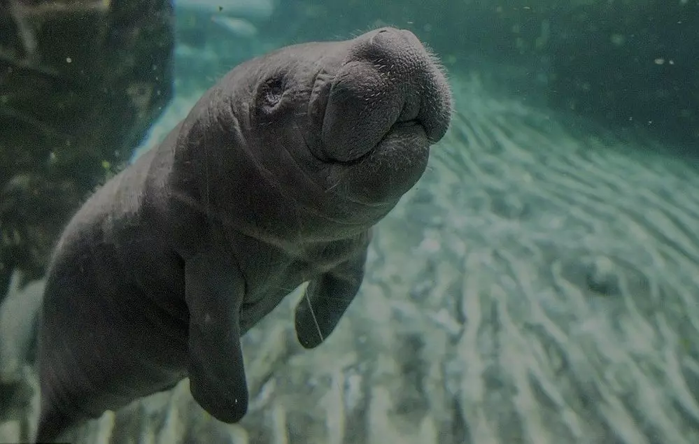 Заповедники и парки во Флориде - American Butler