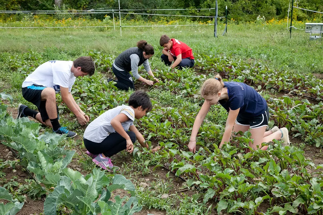 Students working on the school grounds Students working on the school grounds of Groton School