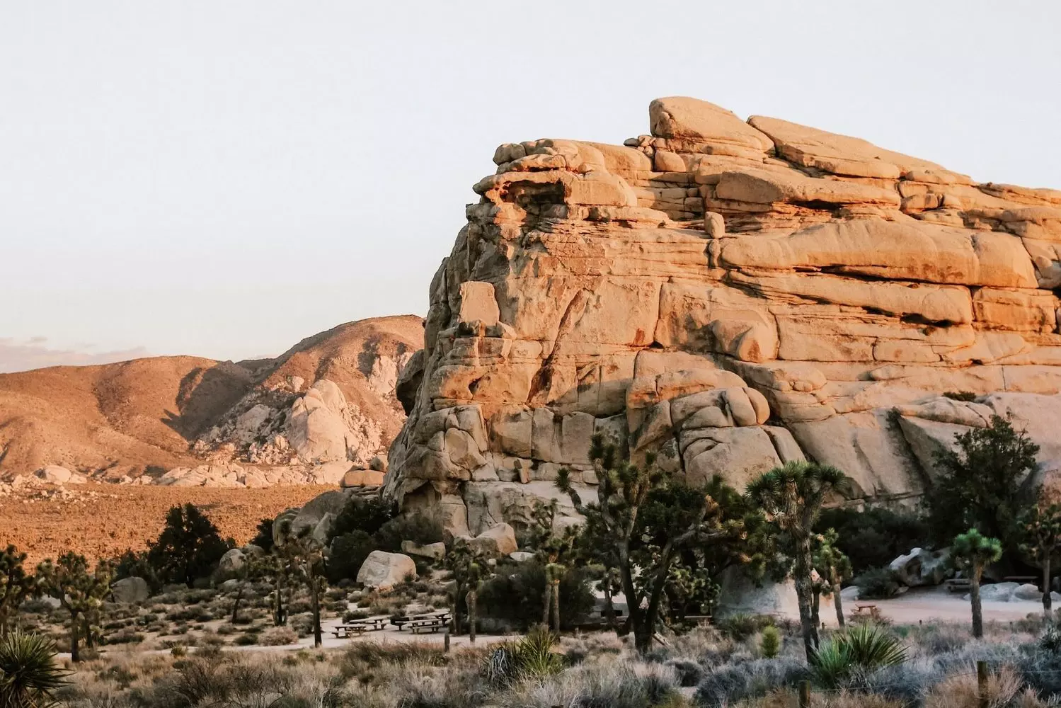 Surreal Beauty of Joshua Tree National Park A stunning landscape of Joshua Tree National Park featuring unique rock formations, twisted Joshua trees, and golden desert sunlight