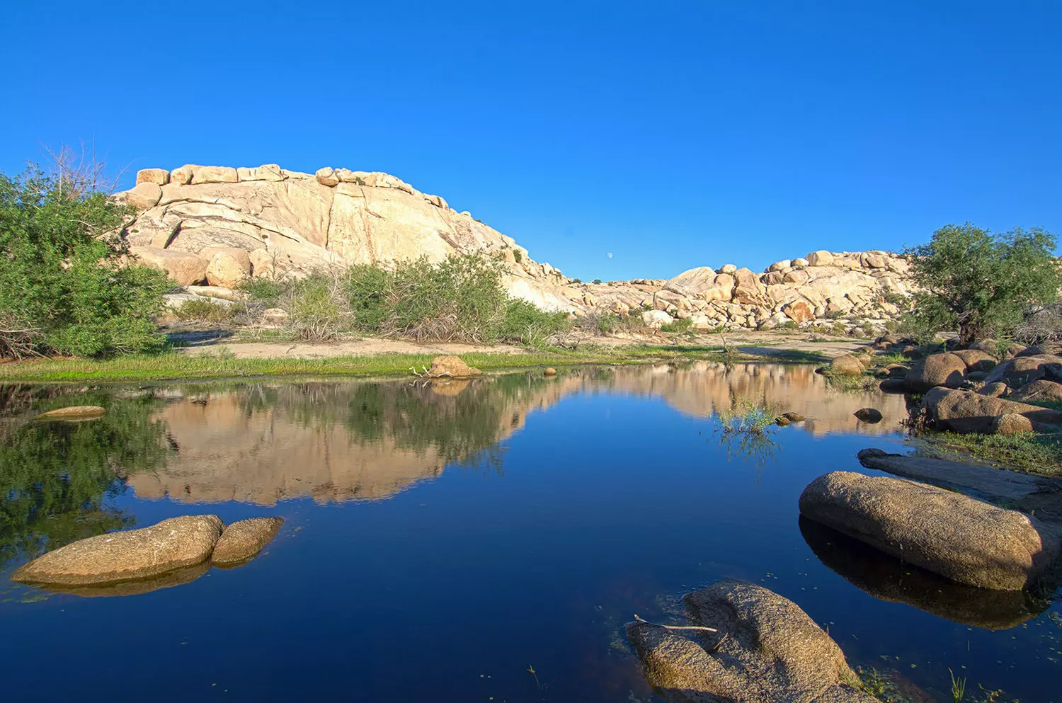 Mirror of the Desert: Serene Lake in Joshua Tree National Park Tranquil desert lake reflecting Joshua trees and rugged rock formations under clear blue skies in Joshua Tree National Park, creating perfect symmetry between earth and water