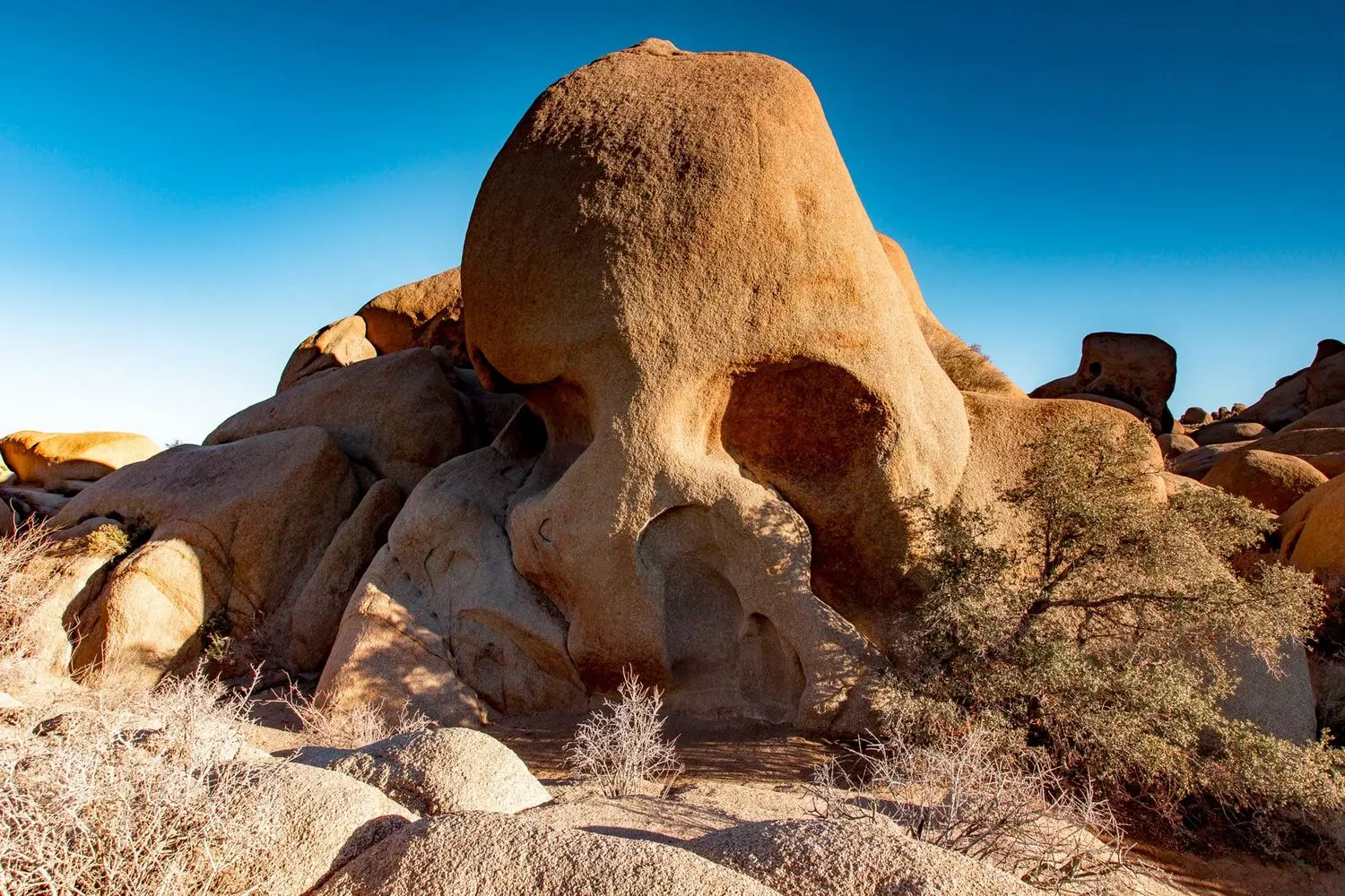 Skull Rock — Joshua Tree's Iconic Natural Wonder Skull Rock formation in Joshua Tree National Park, a massive granite boulder naturally eroded to resemble a human skull with hollow eye sockets, surrounded by desert landscape and blue skies
