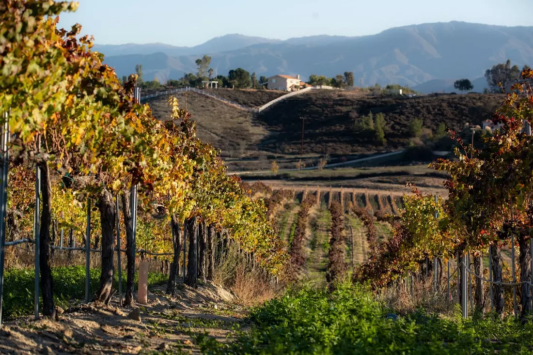 Temecula panorama Breathtaking view of Temecula Valley