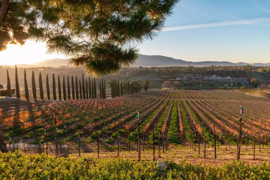 Temecula Valley landscape Mountain landscape with vineyards in Temecula Valley