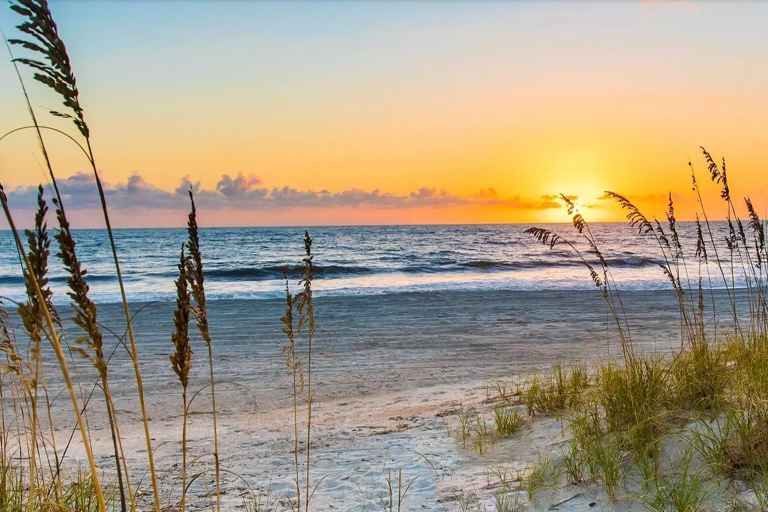 Imagine panoramic vistas of soft white sand and crystal-clear turquoise waters—Amelia Island’s beaches showcase Florida’s natural beauty at its finest. Scenic Views of Amelia Island’s Beaches