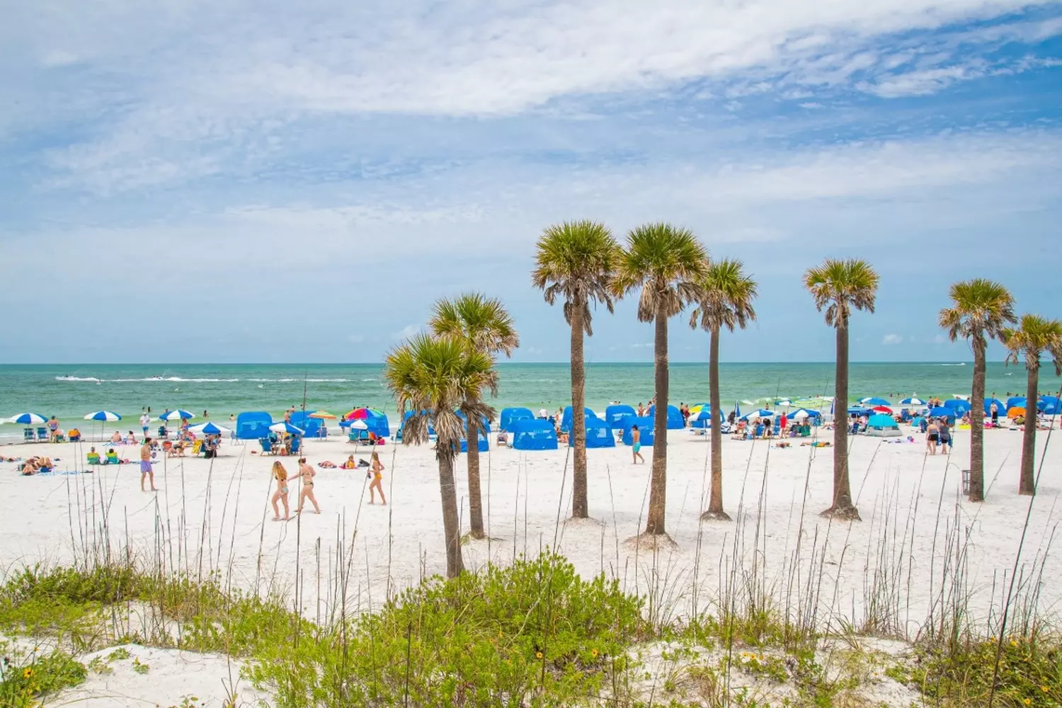 Clearwater Beach — Pristine White Sands & Emerald Waters of Florida Panoramic view of Clearwater Beach showing powdery white sand, turquoise Gulf waters, and vibrant beach umbrellas under sunny skies