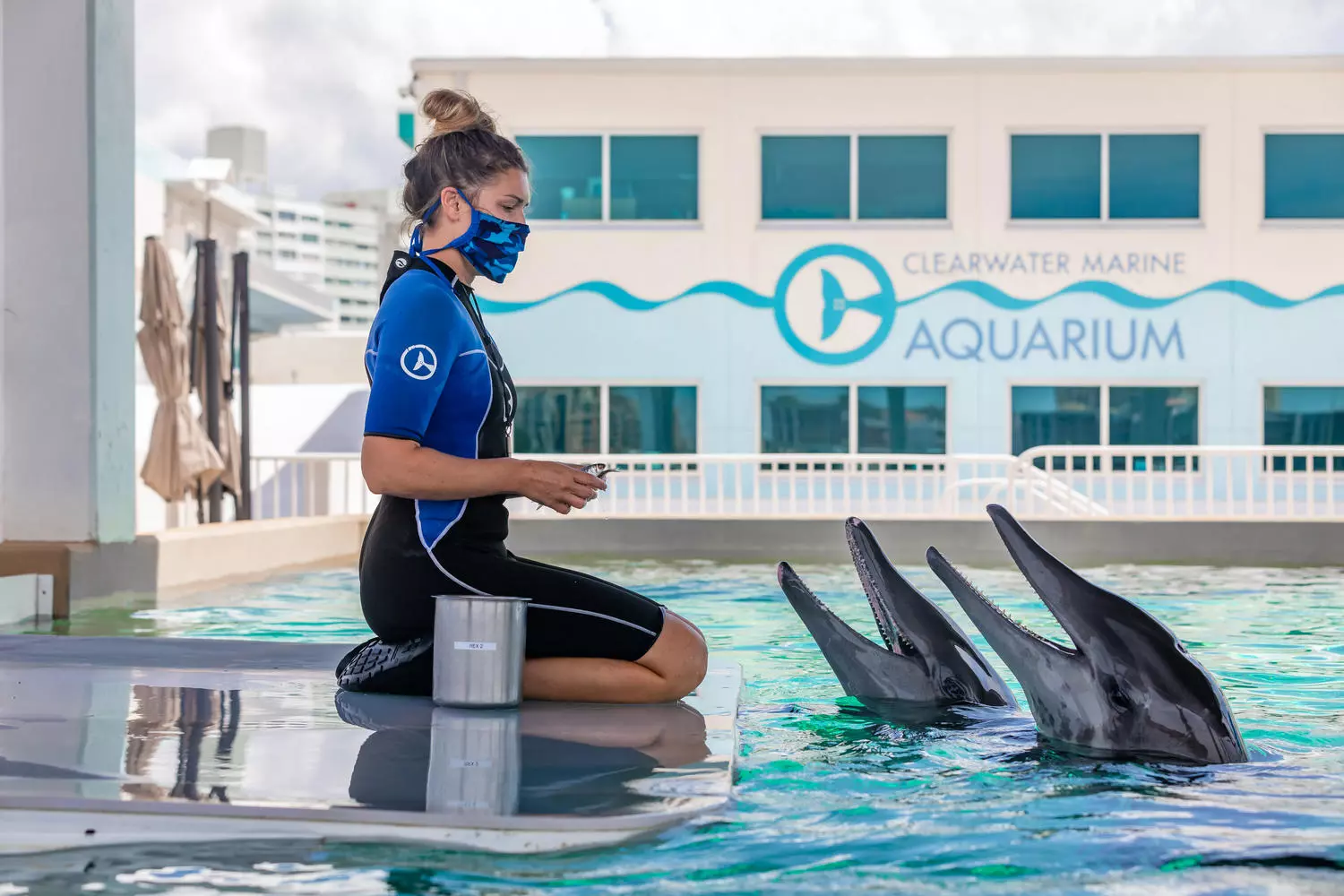 Clearwater Marine Aquarium: Home for Rescued Marine Animals Clearwater Marine Aquarium: A Home for Rescued Marine Animals