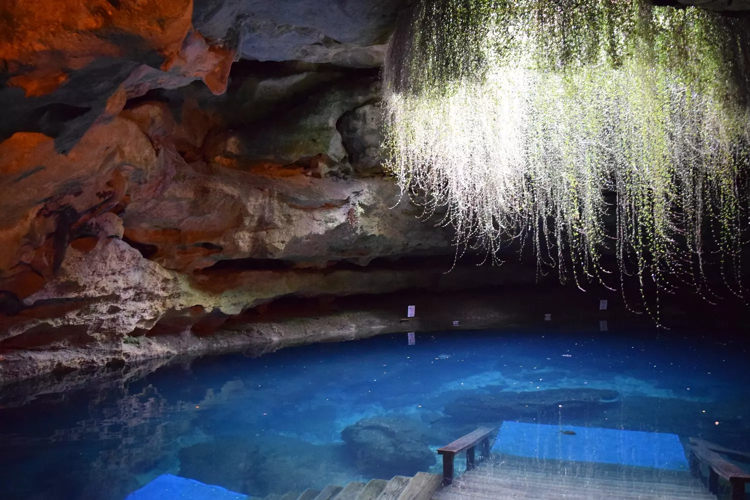 Stunning landscapes of Devil's Den cave A picturesque view of Devil's Den cave