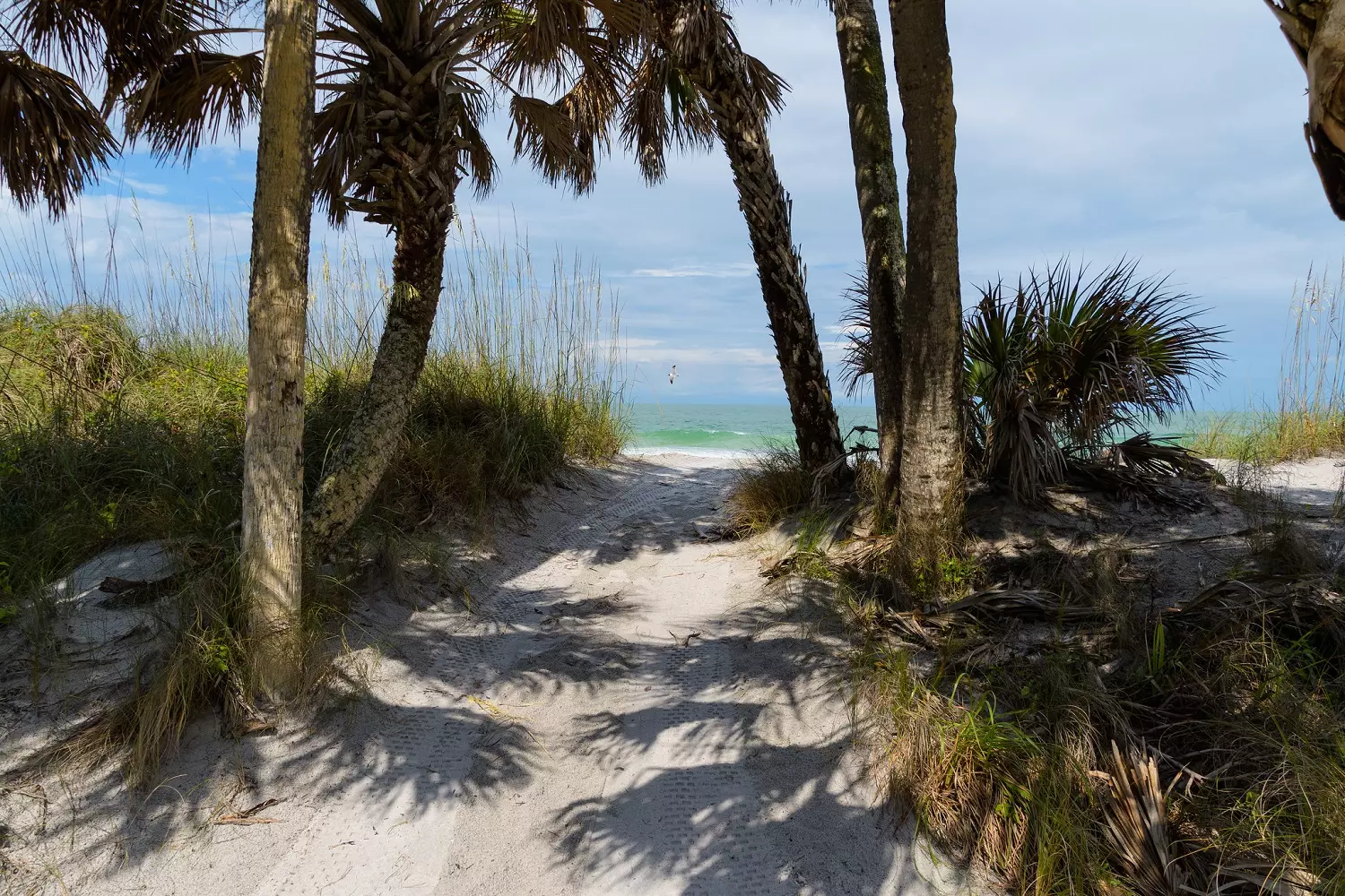 Beach on Egmont Key Secluded beach on Egmont Key Island with a view of the bay