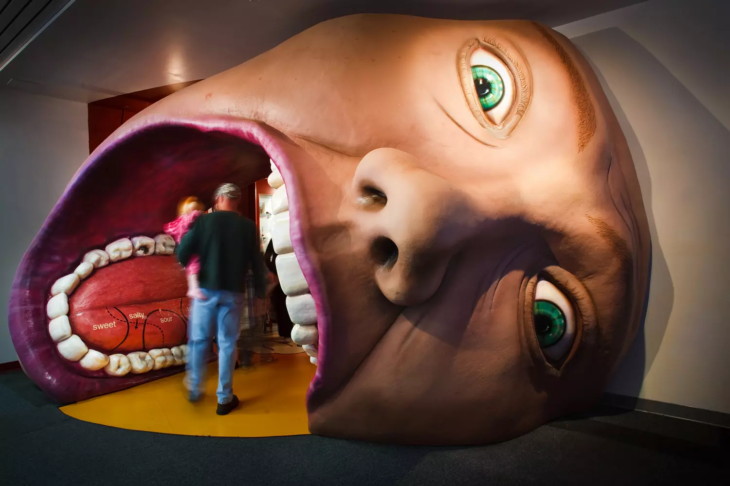 Modern sculpture in the shape of a head displayed at a Jacksonville art museum Contemporary head-shaped art installation at the Jacksonville museum
