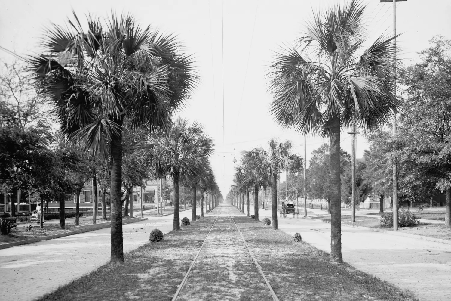 Vintage Jacksonville — a glimpse into the city’s past with historic buildings and classic charm Historic photograph of Jacksonville, Florida, showing early 20th-century architecture and street life