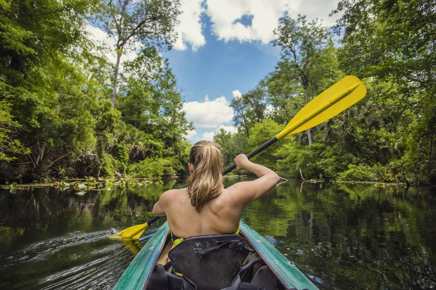 Kayaking in Miami Mangroves — A Peaceful Nature Escape Woman kayaking through the calm waters of Miami's mangrove forests