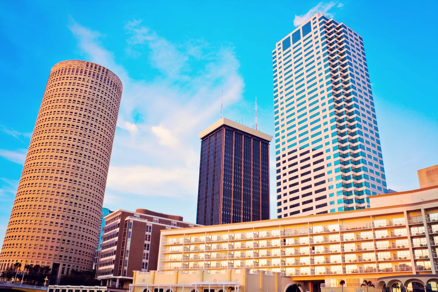 Stunning view of Downtown Tampa's towering skyscrapers under a blue sky, reflecting in the Hillsborough River, with lush greenery and city life below Downtown Tampa Skyscrapers — Modern Skyline & Urban Beauty | American Butler