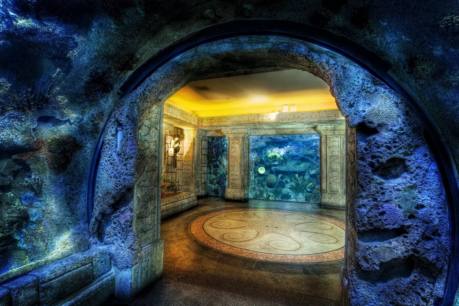 Shark Reef: A Unique Aquarium in Las Vegas Shark Reef at Mandalay Bay