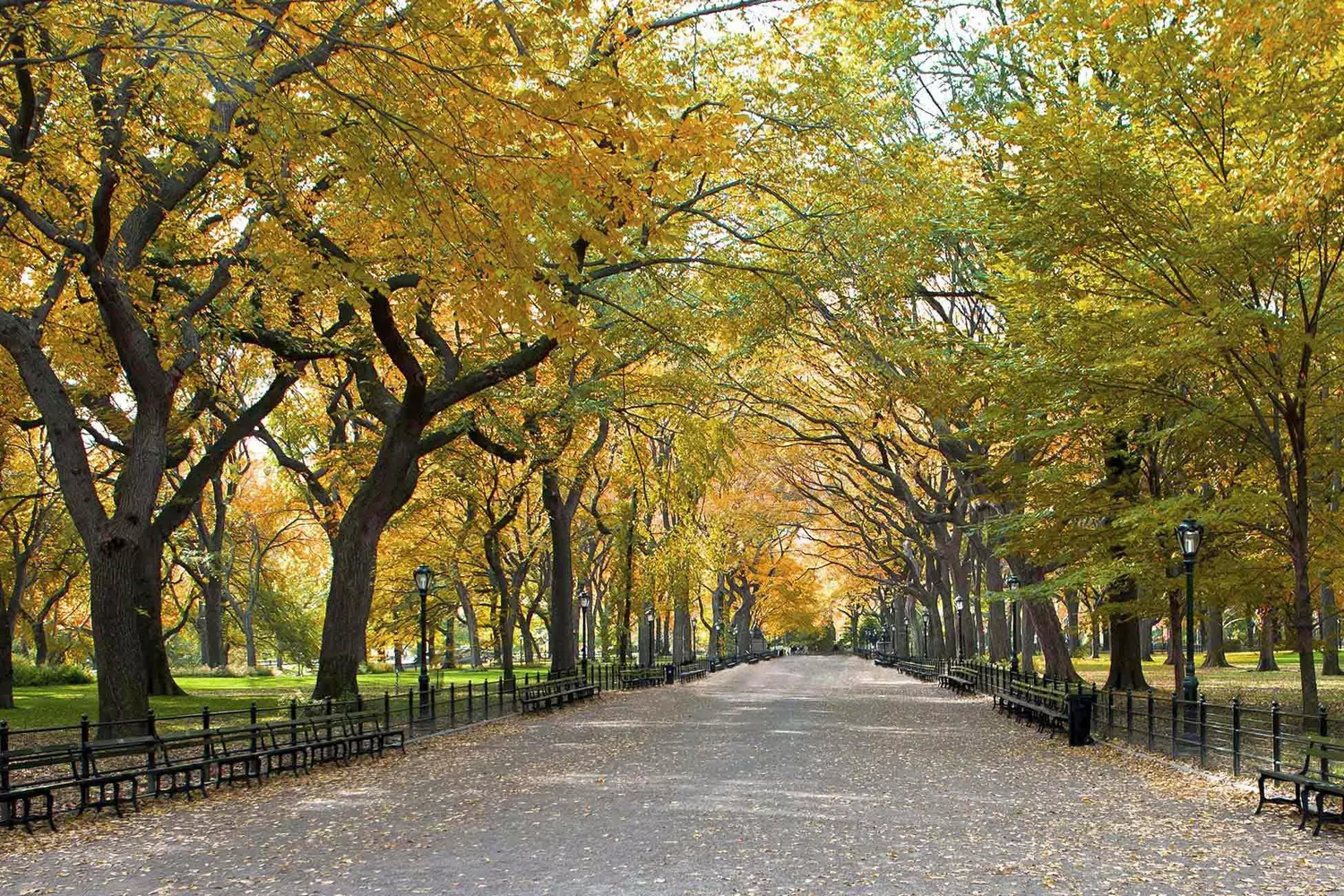Central Park, New York in Autumn — Photos by American Butler Central Park, New York in Autumn — Photos by American Butler