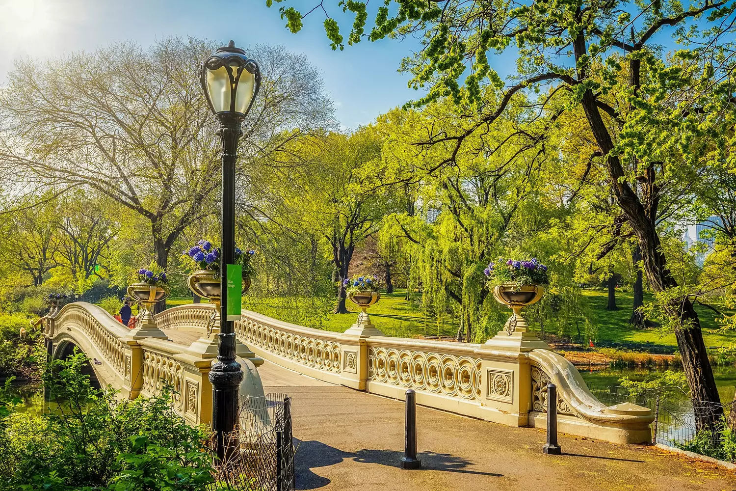 The Pond and Bow Bridge in Central Park, New York — Photos by American Butler The Pond and Bow Bridge in Central Park, New York — Photos by American Butler