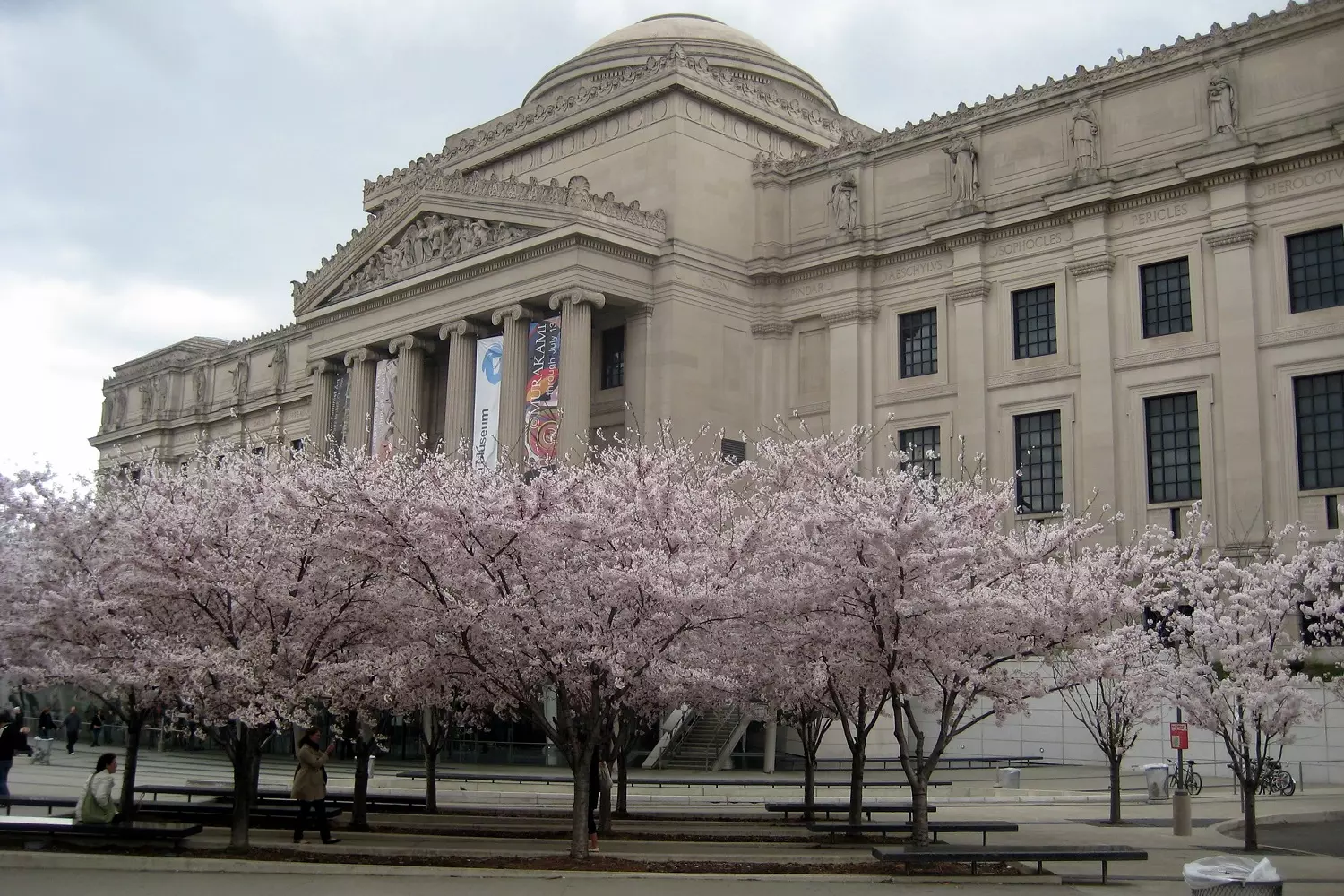 Brooklyn Museum building in New York Brooklyn Museum building in New York with blooming trees