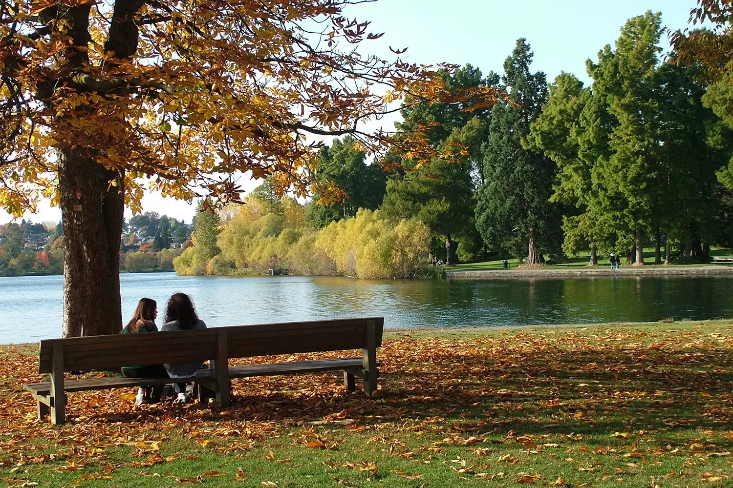 Green Lake Waterfront in Seattle Green Lake Waterfront in Seattle — American Butler