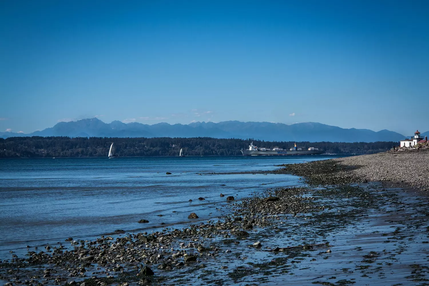 Shoreline at Discovery Park Beach and shoreline at Discovery Park, Seattle
