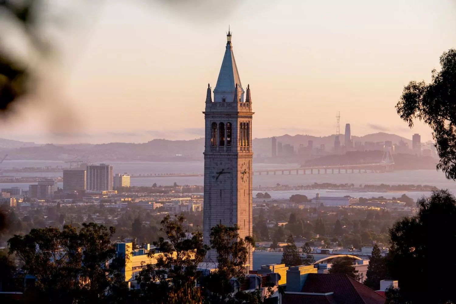 UC Berkeley — a world-renowned university shaping Silicon Valley’s brightest minds View of the University of California, Berkeley campus with the iconic Sather Tower and surrounding greenery