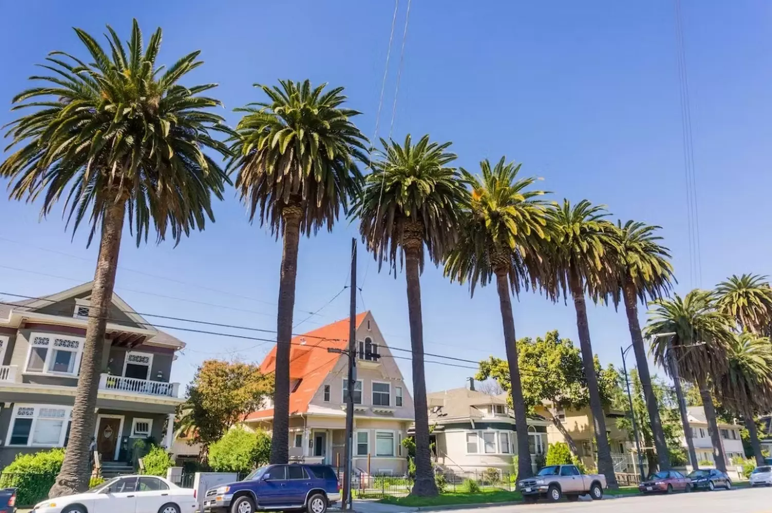 A typical residential area in Silicon Valley — where tech professionals live and work Residential neighborhood in Silicon Valley with tree-lined streets and modern suburban homes