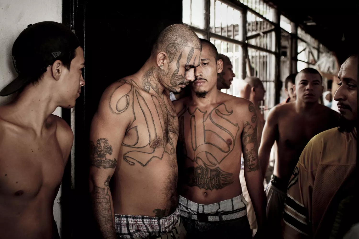 La Mara Salvatrucha: Members of the MS-13 gang in the USA Members of the MS-13 (Mara Salvatrucha) gang gather in an urban setting, displaying distinctive tattoos with the "MS" symbols on their faces and making the "devil horns" hand gestures