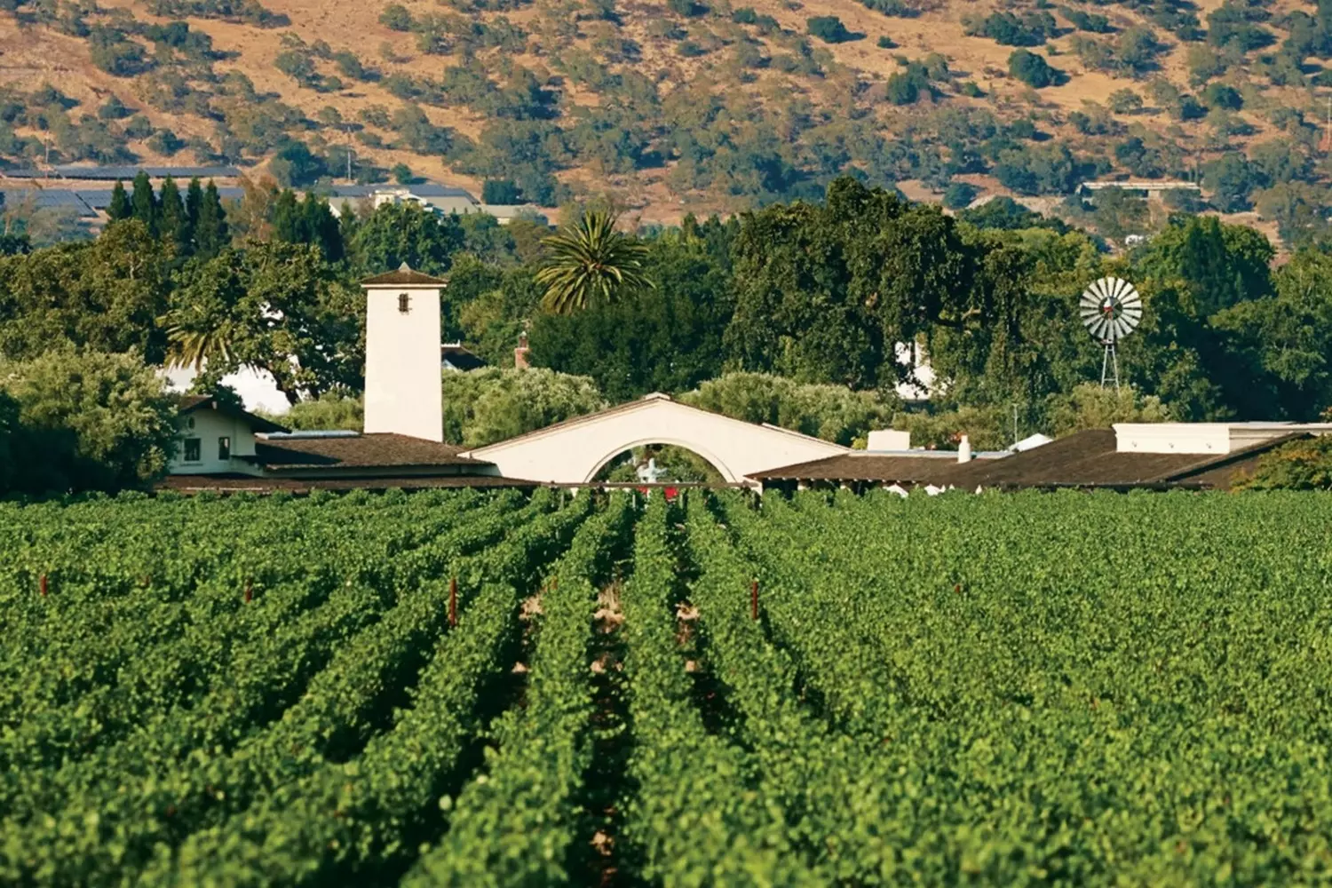 Robert Mondavi Winery: Where American Wine History Was Made The iconic mission-style architecture of Robert Mondavi Winery in Napa Valley, with sun-drenched vineyards stretching to the horizon — birthplace of California's modern wine industry