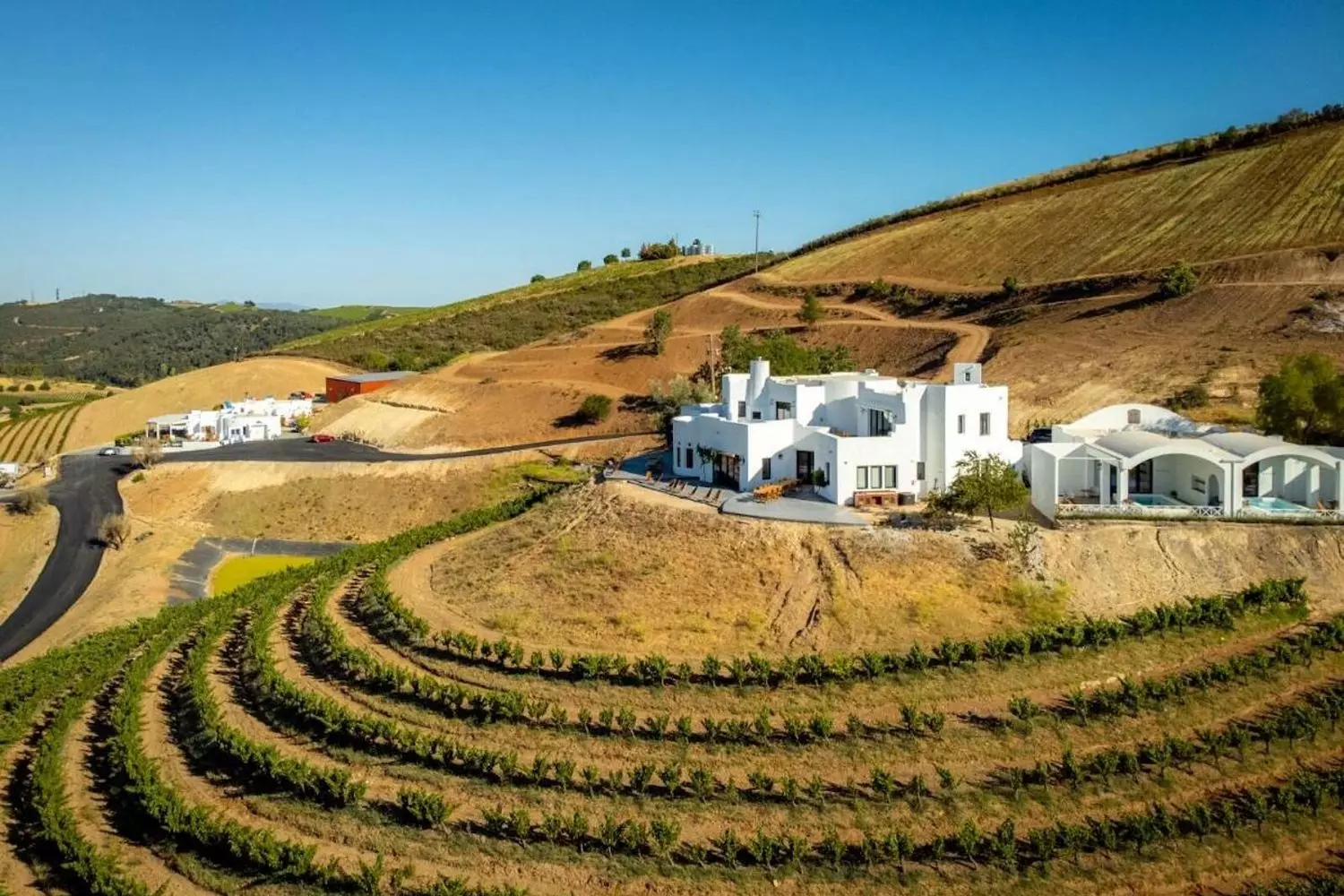 American Wine Heritage: Iconic Wineries of the USA A picturesque American winery with rustic architecture surrounded by vineyards under a clear blue sky, representing the heart of US winemaking tradition
