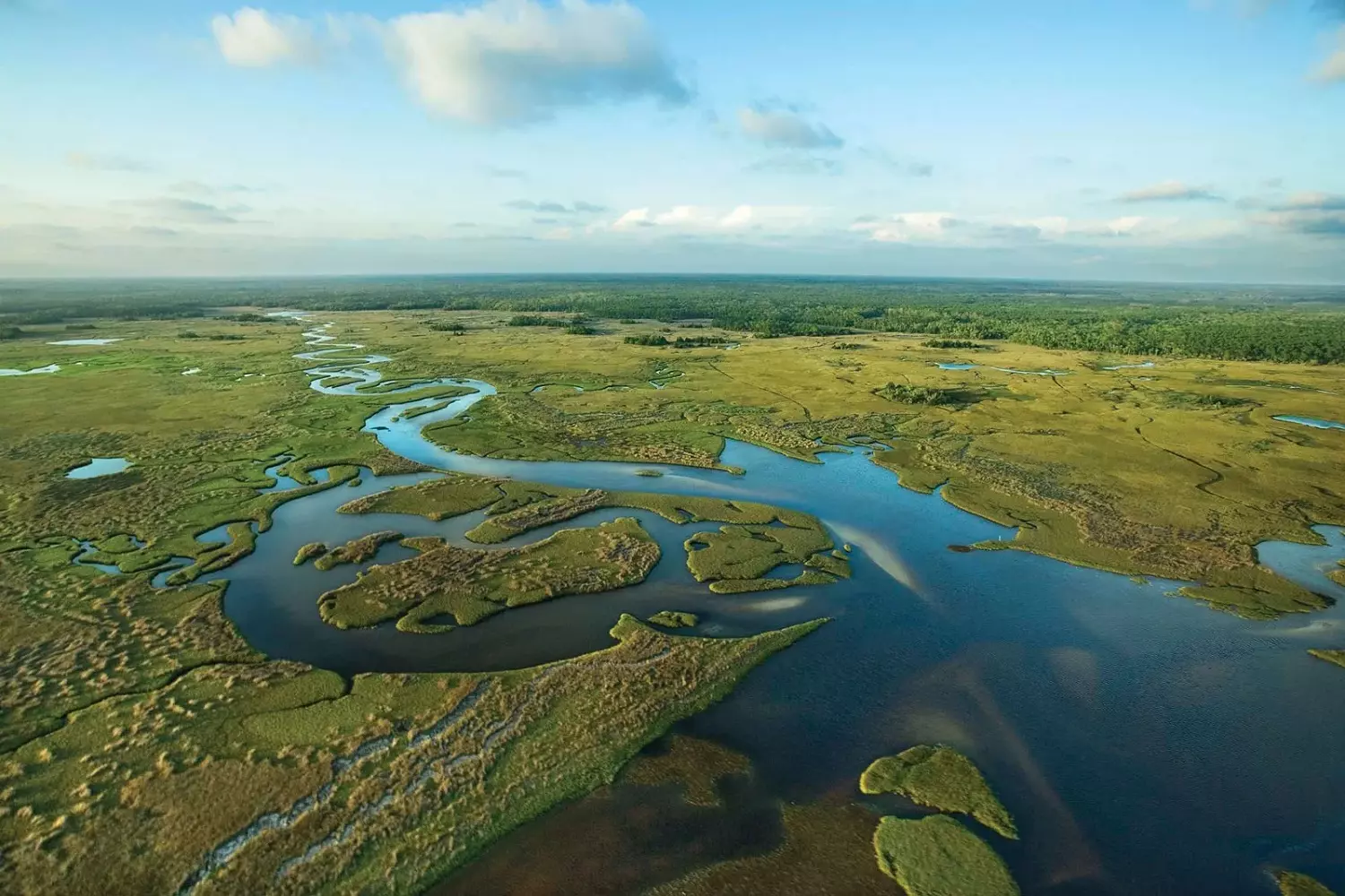 The Everglades — home to alligators Aerial view of the Everglades swamps