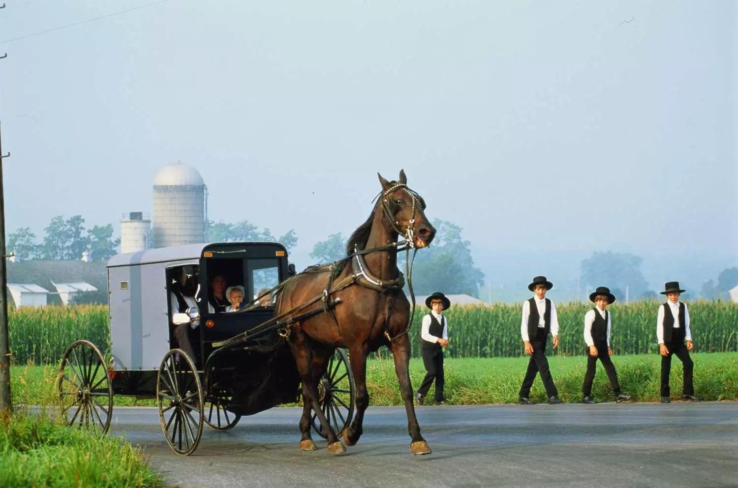 Amish Childhood: A Ride in the Horse-Drawn Buggy Amish family riding a traditional horse-drawn buggy on a country road, children looking around