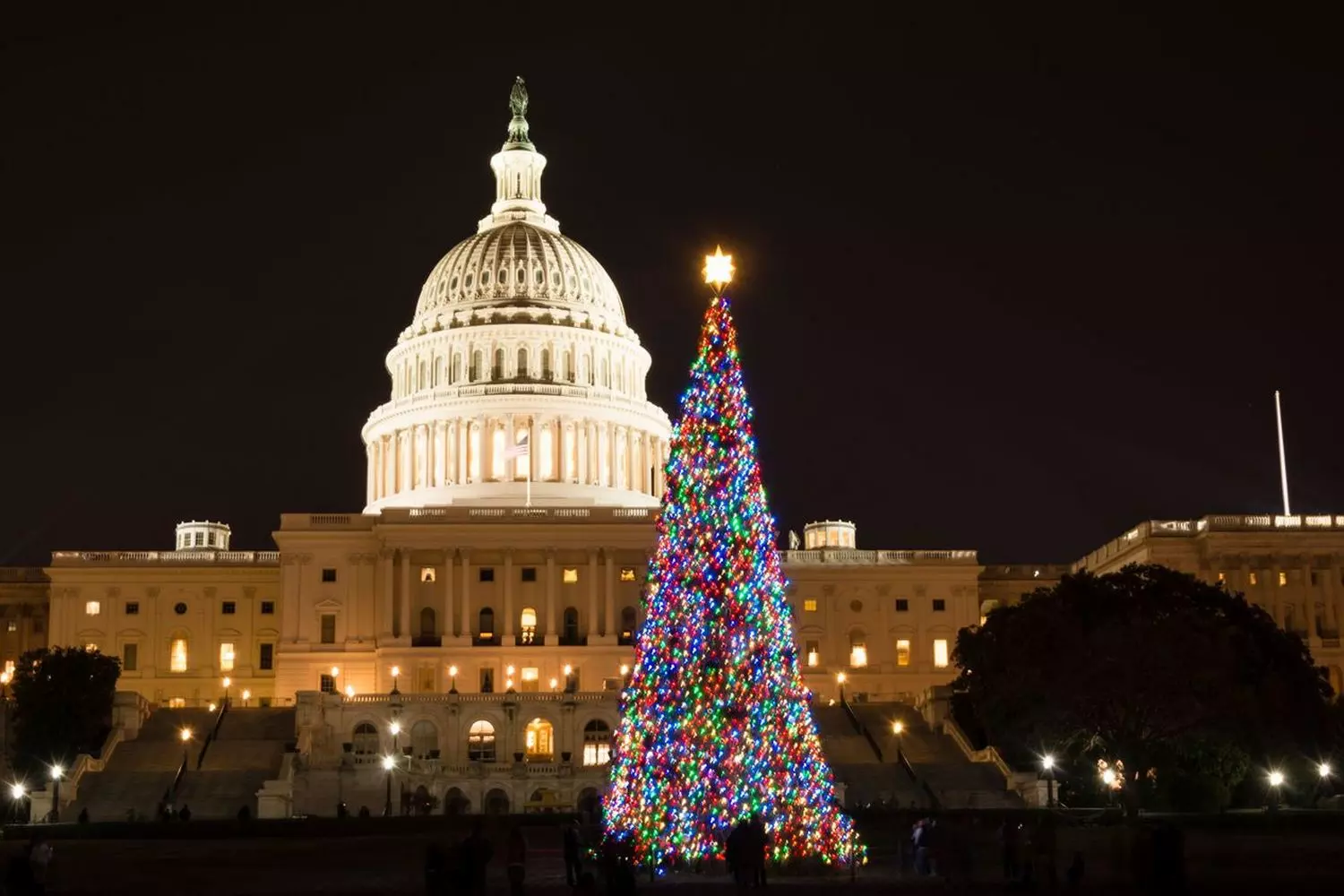 The White House Christmas Tree: A Festive Symbol of America The official White House Christmas tree, adorned with lights and ornaments on the North Lawn, with the historic presidential residence at sunset