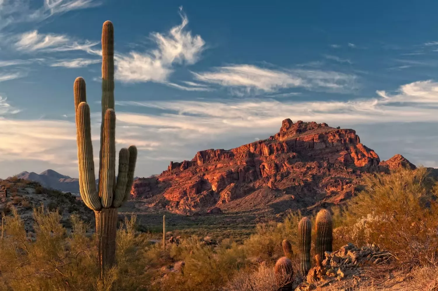 U.S. national park with cacti and mountain landscape Scenic view of a U.S. national park featuring desert terrain, mountains, and cacti