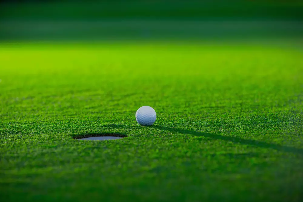 Sports in the USA: Types, Leagues & Influence - American Butler