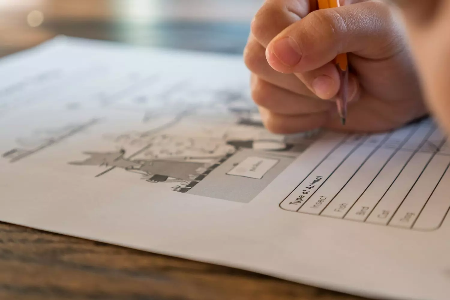 A child completes a test assignment A child completes a test assignment