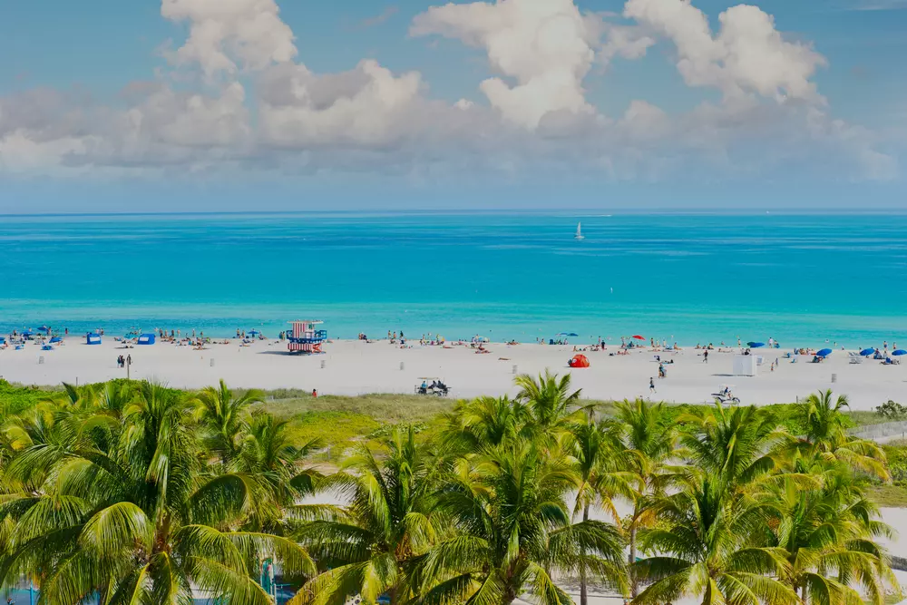The Best Beaches in Miami: Beautiful Places for Swimming and Relaxation - American Butler