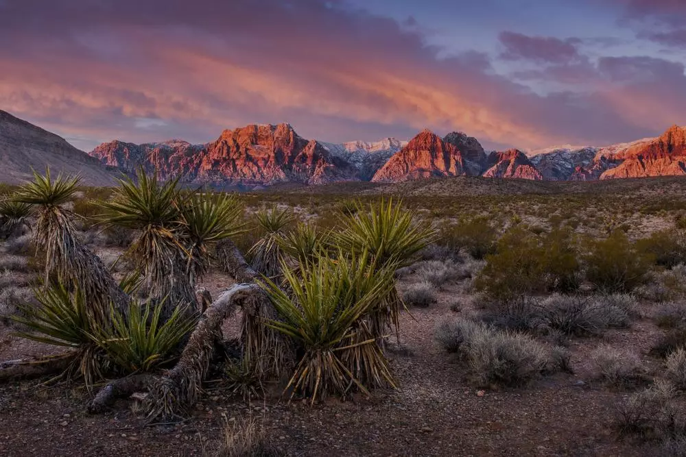 Путешествие по США: рекомендации и маршруты - American Butler