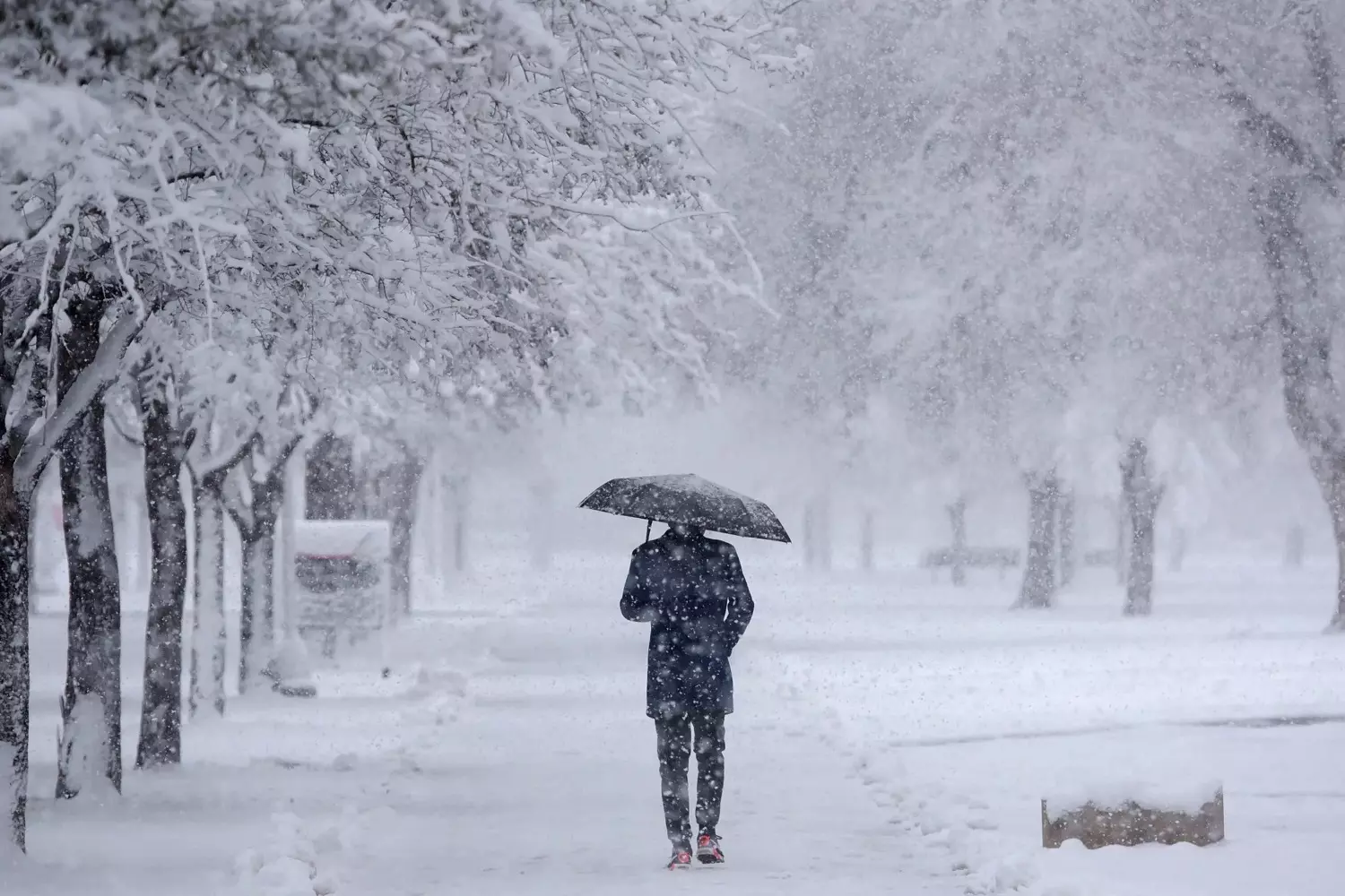 Snowy regions of the USA The snowiest regions of the USA