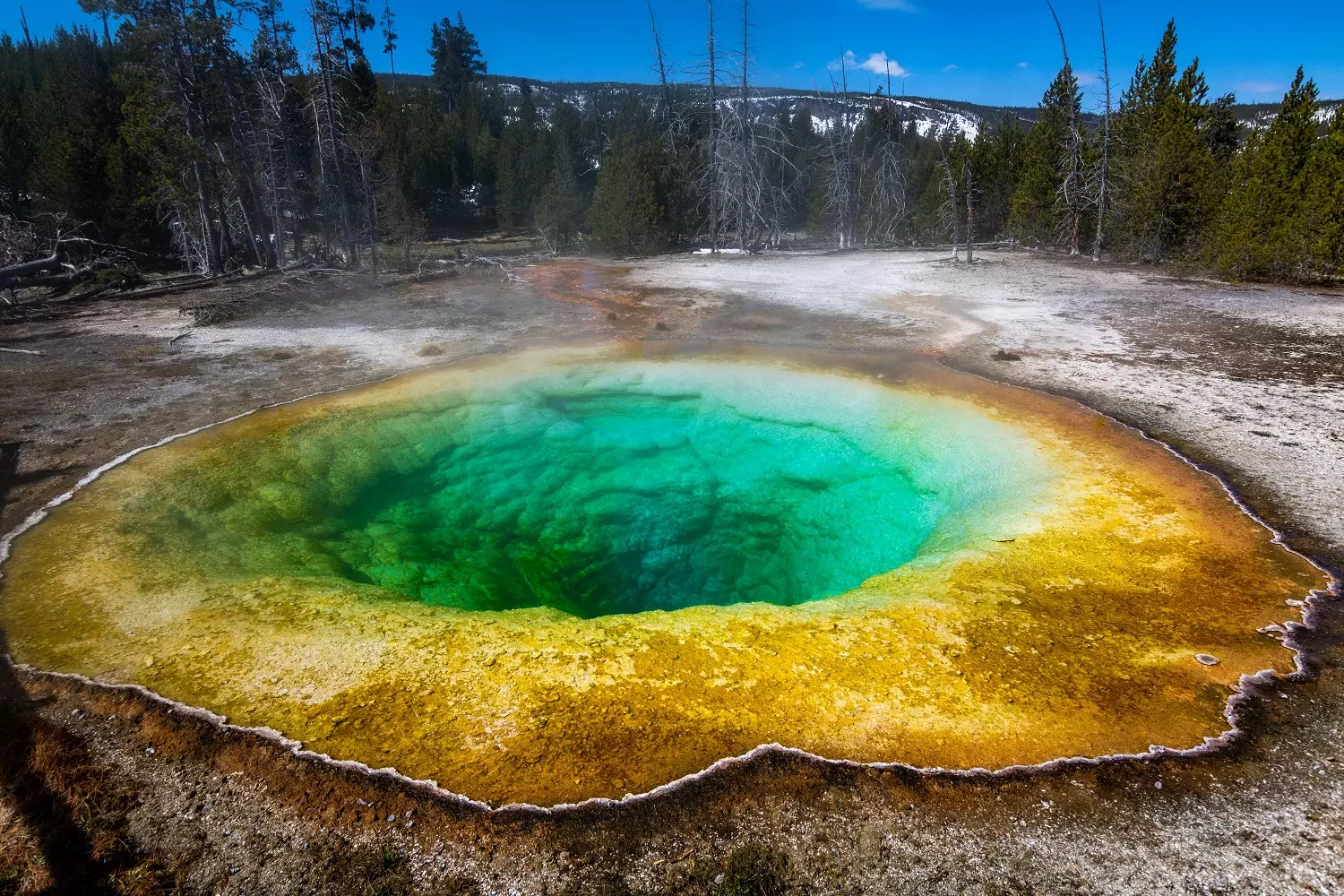 Yellowstone hot spring Hot spring in Yellowstone