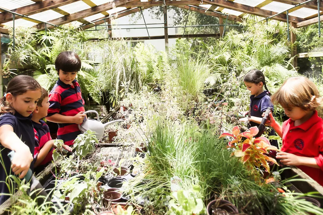 slider - American Butler