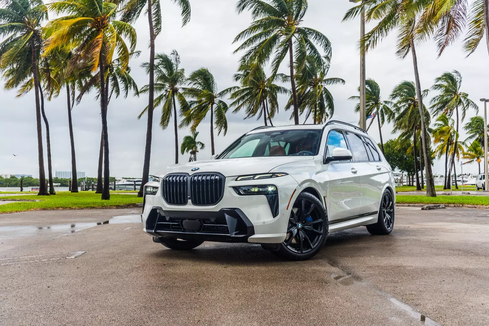 BMW X7 xDrive40i на фоне пальм BMW X7 xDrive40i — аренда внедорожника