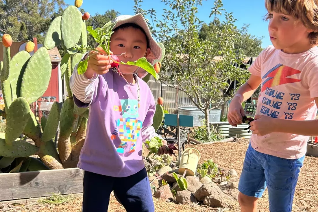 slider - American Butler