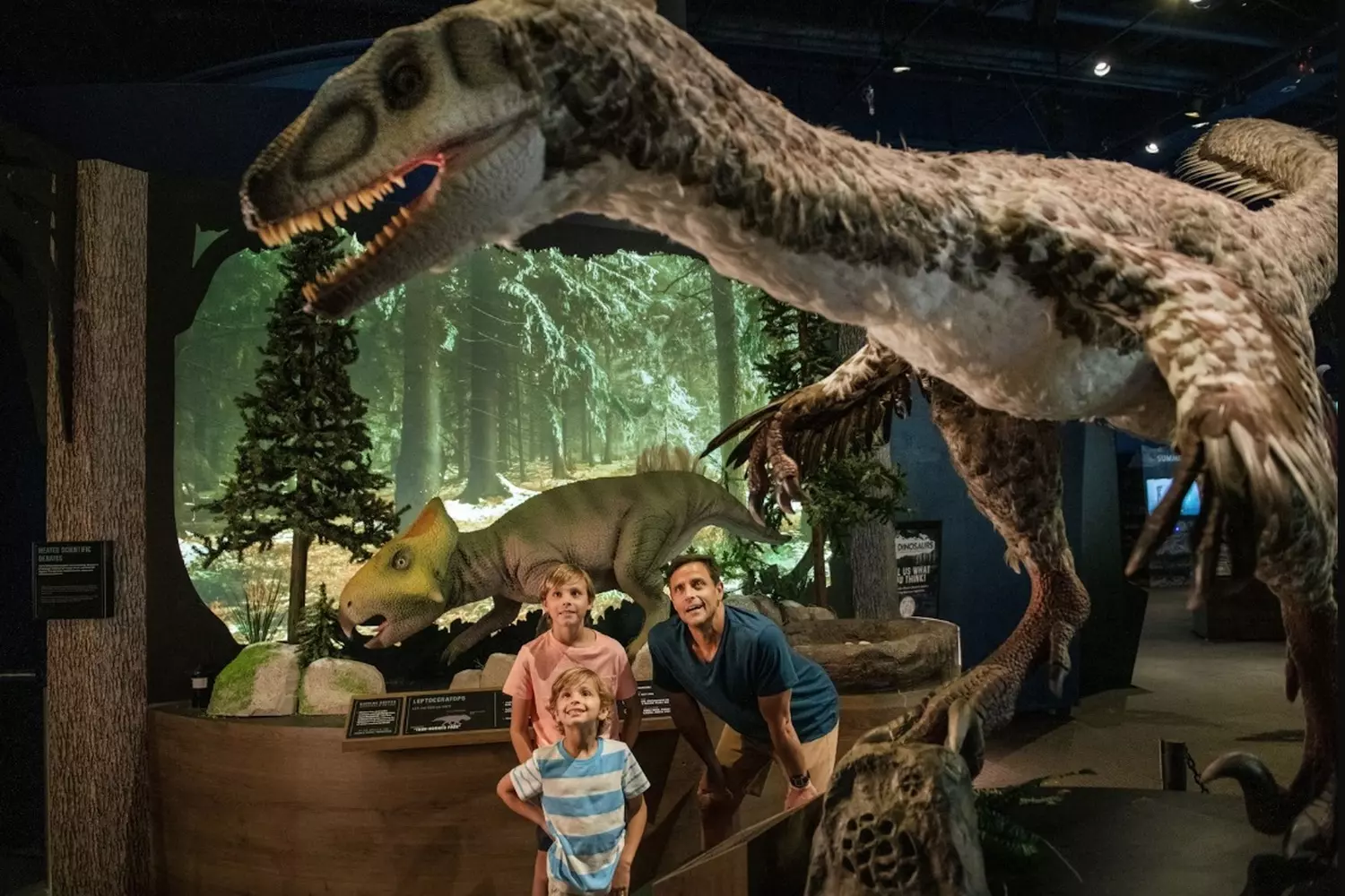 slider - American Butler