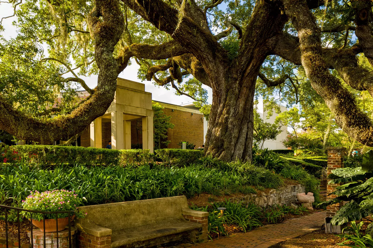 slider - American Butler