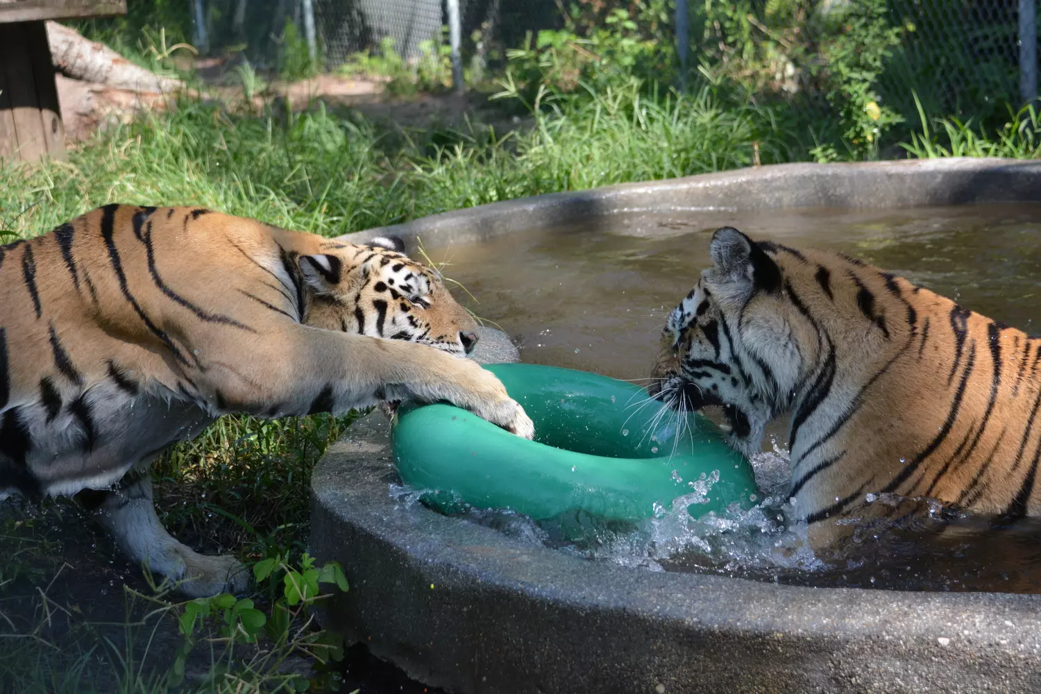 slider - American Butler